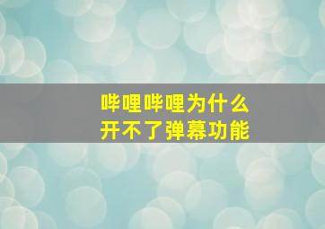 哔哩哔哩为什么开不了弹幕功能