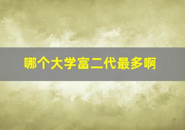 哪个大学富二代最多啊