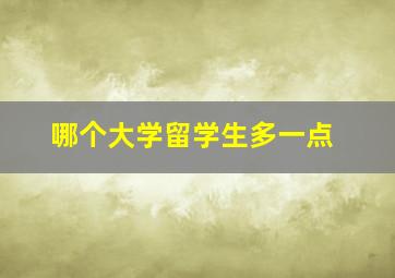 哪个大学留学生多一点