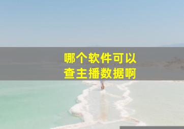 哪个软件可以查主播数据啊