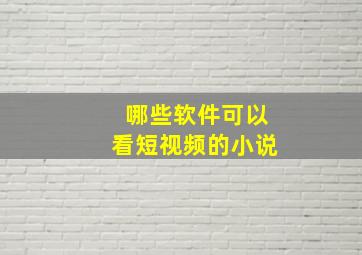 哪些软件可以看短视频的小说