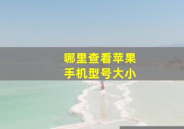 哪里查看苹果手机型号大小