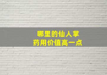 哪里的仙人掌药用价值高一点