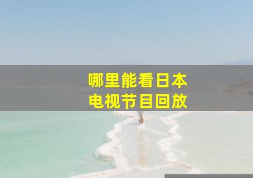 哪里能看日本电视节目回放