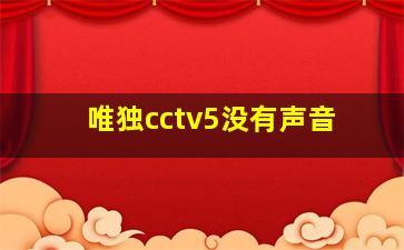 唯独cctv5没有声音