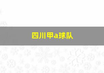 四川甲a球队