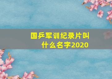 国乒军训纪录片叫什么名字2020