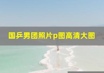 国乒男团照片p图高清大图