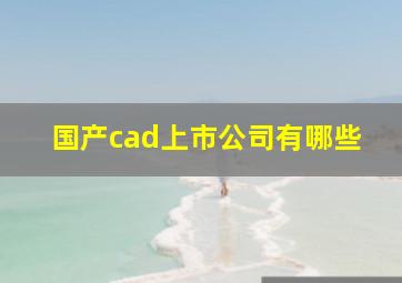 国产cad上市公司有哪些