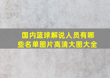 国内篮球解说人员有哪些名单图片高清大图大全