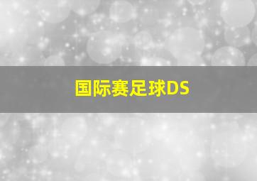 国际赛足球DS