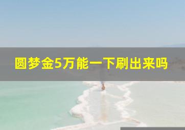 圆梦金5万能一下刷出来吗