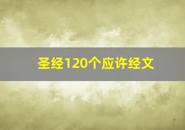 圣经120个应许经文