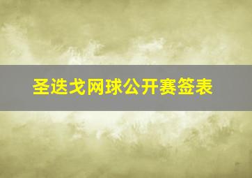 圣迭戈网球公开赛签表