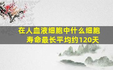 在人血液细胞中什么细胞寿命最长平均约120天