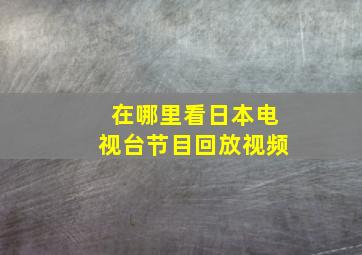 在哪里看日本电视台节目回放视频