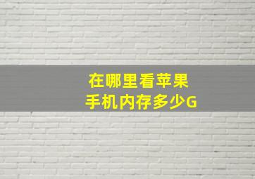 在哪里看苹果手机内存多少G