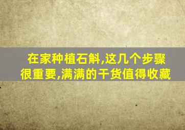 在家种植石斛,这几个步骤很重要,满满的干货值得收藏