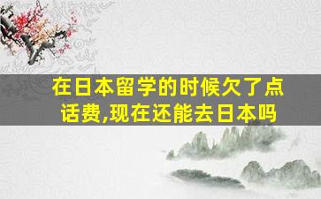 在日本留学的时候欠了点话费,现在还能去日本吗