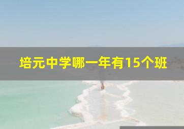 培元中学哪一年有15个班