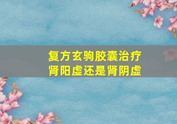 复方玄驹胶囊治疗肾阳虚还是肾阴虚