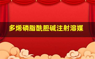 多烯磷脂酰胆碱注射溶媒