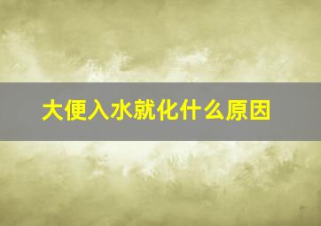 大便入水就化什么原因