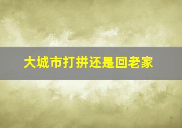 大城市打拼还是回老家