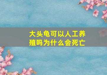 大头龟可以人工养殖吗为什么会死亡