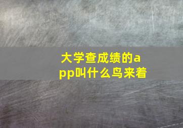 大学查成绩的app叫什么鸟来着