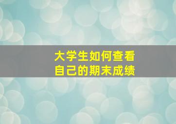 大学生如何查看自己的期末成绩