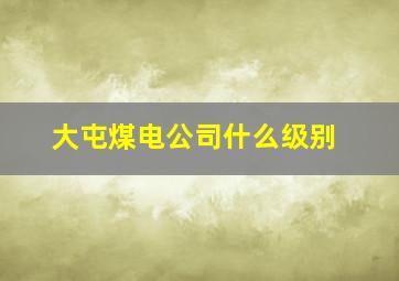 大屯煤电公司什么级别