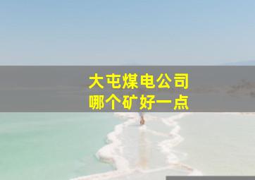 大屯煤电公司哪个矿好一点