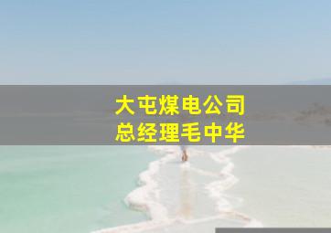 大屯煤电公司总经理毛中华