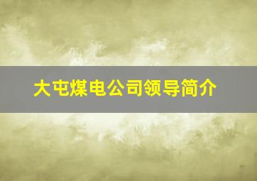 大屯煤电公司领导简介