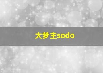 大梦主sodo