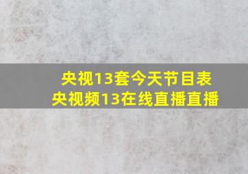 央视13套今天节目表央视频13在线直播直播