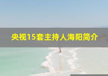 央视15套主持人海阳简介