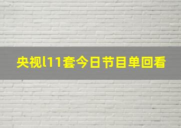 央视l11套今日节目单回看