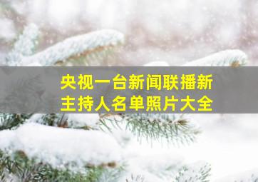 央视一台新闻联播新主持人名单照片大全