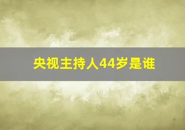 央视主持人44岁是谁