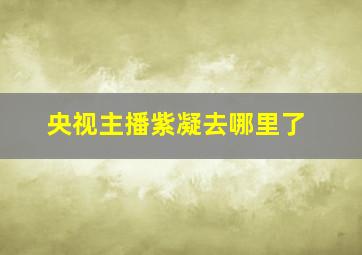 央视主播紫凝去哪里了