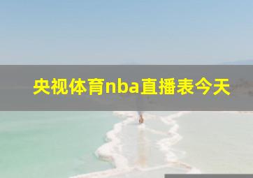 央视体育nba直播表今天