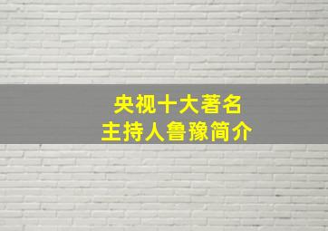 央视十大著名主持人鲁豫简介