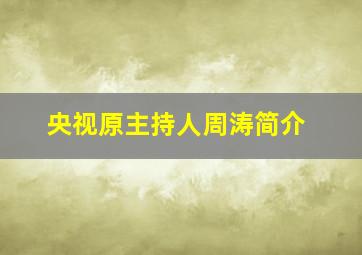 央视原主持人周涛简介