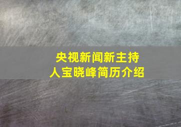 央视新闻新主持人宝晓峰简历介绍