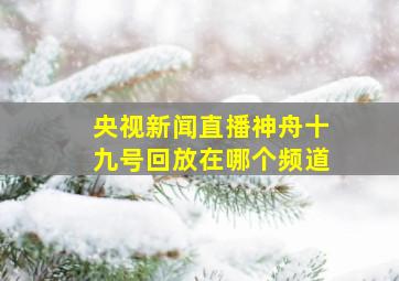 央视新闻直播神舟十九号回放在哪个频道