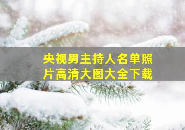 央视男主持人名单照片高清大图大全下载