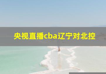 央视直播cba辽宁对北控