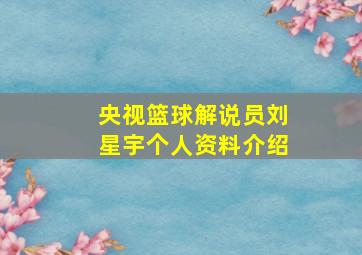 央视篮球解说员刘星宇个人资料介绍